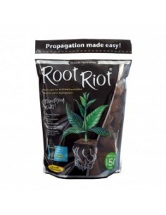 root riot sachet de 50